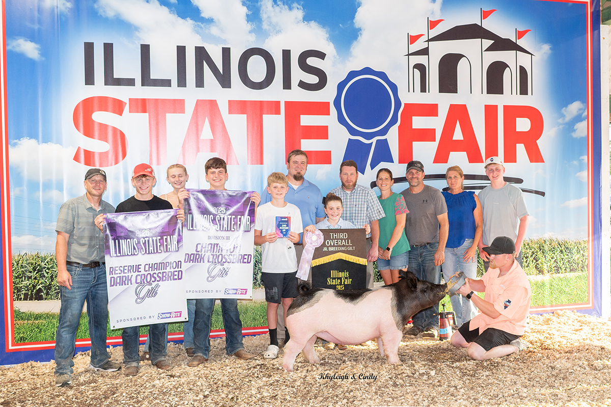 3rd Overall Gilt, Reserve Champion Dark Crossbred Gilt