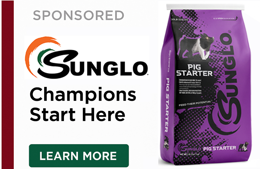 Sunglo Champions Start Here